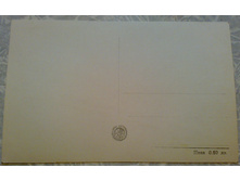 ����79 (1).jpg