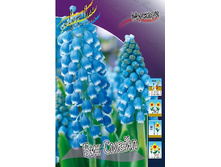 7,88���. ������� ��� �����(���������� ������ ������ ���������� �� 10 ��.).jpg