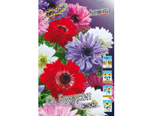 4,11���. ������� ��.�������, �����(���������� ������ ������ ���������� �� 15 ��.).jpg