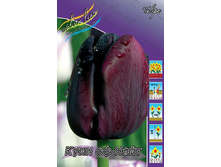 11���. ������� ���� �� ����(���������� ������ ������ ���������� �� 10 ��.).jpg