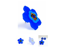 ����� ���������