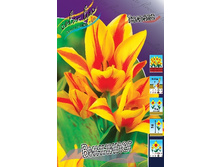 11���. ������� ��������(���������� ������ ������ ���������� �� 10 ��.).jpg