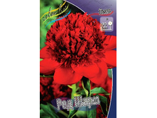 350,4���. ���� ��� ����(���������� ������ ������ ���������� �� 1 ��.).jpg