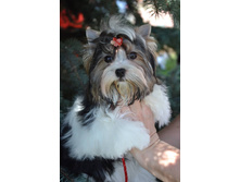 18337276 1907519342795999 1635199895 n.jpg