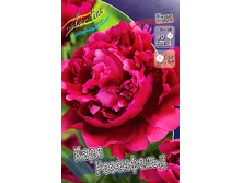 144,2���. ���� ���� ����������(���������� ������ ������ ���������� �� 1 ��.).jpg