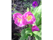 �������