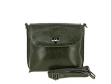 1934 olive green ���� 1895 �����.����.jpg