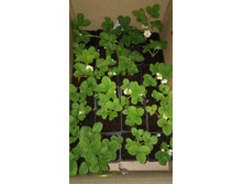 0-02-05-00ae3051d1582f37449ed54a60b6ea09328ce0bd2270efe4c45f9df38317d9df full - �����.jpg