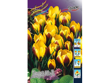 19,43���. ������ ������� (����.)(���������� ������ ������ ���������� �� 7 ��.).jpg