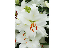 27,76���. ����� ��-����(�������� ���� �� 5 ��., ����������� ����� 3��.).jpg