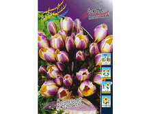 4,31���. ������ ������ (����.)(���������� ������ ������ ���������� �� 10 ��.).jpg