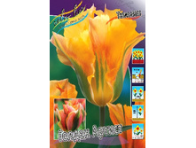 16,94���. ������� ������ ������(�������� ���� �� 10 ��., ����������� ����� 5��.).jpg