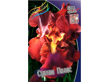 81,8���. ���� ���������� ������ �����(�������� ���� �� 2 ��., ����������� ����� 1��.).jpg