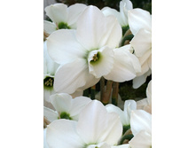 45,76���. ������� �������� ����(�������� ���� �� 5 ��., ����������� ����� 1��.)���16.jpg