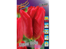 15,16���. ������� ������ ����(�������� ���� �� 10 ��., ����������� ����� 5��.).jpg