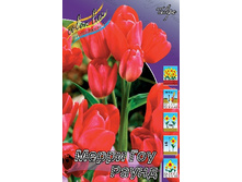 13,23���. ������� ����� ��� �����(���������� ������ ������ ���������� �� 10 ��.).jpg