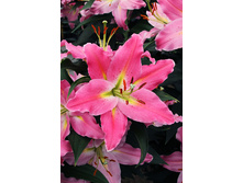 34,6���. ����� �����(�������� ���� �� 5 ��., ����������� ����� 3��.)���16.jpg