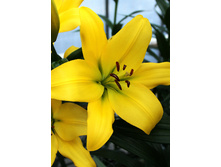 20,29���. ����� ����������(�������� ���� �� 7 ��., ����������� ����� 3��.)���16.jpg