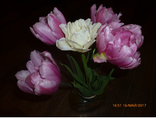 ���� ������