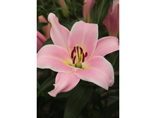 26,64���. ����� �������(�������� ���� �� 7 ��., ����������� ����� 3��.).jpg