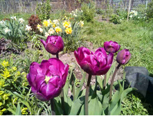 0-02-04-ed23c00f41ed4497394064e3ab4e5479faf808f9f4783f90408278464355a1b8 full.jpg