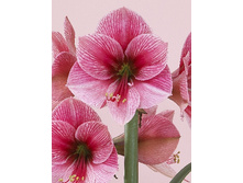 254,8���. ��������� ����� ����(���������� ������ ������ ���������� �� 1 ��.)���17.jpg