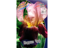 81,8���. ���� ���������� ������ ���(�������� ���� �� 2 ��., ����������� ����� 1��.).jpg