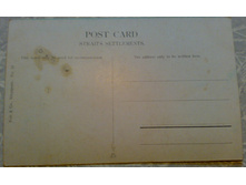 ����98 (1).jpg