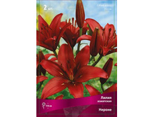 ����� ������.jpg