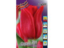 15,16���. ������� ������ ���(�������� ���� �� 10 ��., ����������� ����� 5��.).jpg