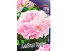 201���. ���� ������� ������(���������� ������ ������ ���������� �� 1 ��.).jpg