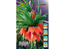 97,8���. ����������� �����(�������� ���� �� 2 ��., ����������� ����� 1��.).jpg