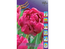 14,71���. ������� ����(���������� ������ ������ ���������� �� 10 ��.).jpg