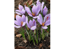 10,26���. ������ ������ ��������̆ (����������.)(���������� ������ ������ ���������� �� 10 ��.)���17.jpg