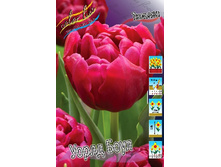 16,2���. ������� ����� ����(�������� ���� �� 10 ��., ����������� ����� 5��.)���16.jpg