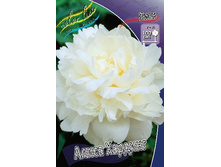 245,8���. ���� ����� �������(���������� ������ ������ ���������� �� 1 ��.).jpg