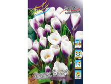 5,95���. ������ ����� ����� (����.)(���������� ������ ������ ���������� �� 10 ��.).jpg