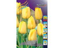 11,74���. ������� ������(���������� ������ ������ ���������� �� 10 ��.).jpg