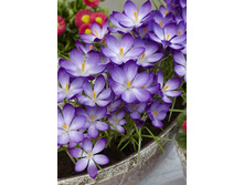 3,07���. ������ ���� ������ (����.)(���������� ������ ������ ���������� �� 15 ��.).jpg