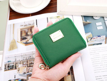 260 ���. - ������� ��������� "SJ-2" (�������)