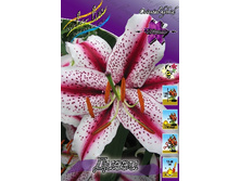 28,23���. ����� �����(�������� ���� �� 7 ��., ����������� ����� 3��.).jpg