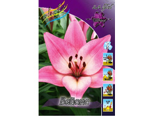 23,4���. ����� ������(�������� ���� �� 4 ��., ����������� ����� 2��.).jpg