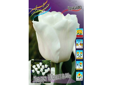 13,97���. ������� ���� �������(���������� ������ ������ ���������� �� 10 ��.)���16.jpg