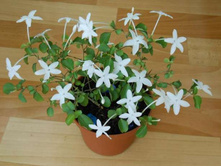 ��������������� ����������....