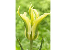 18,43���. ������� ���� ����������(�������� ���� �� 10 ��., ����������� ����� 5��.)���17.jpg