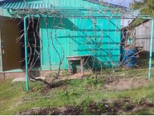 �������� ��� 2017�.