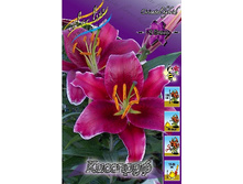 30,13���. ����� ��������(�������� ���� �� 3 ��., ����������� ����� 1��.).jpg