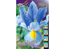 8,77���. ���� ����. ���� �����(���������� ������ ������ ���������� �� 10 ��.).jpg