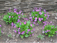 �������