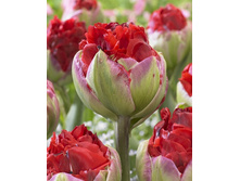 30,31���. ������� �������(�������� ���� �� 10 ��., ����������� ����� 5��.)���17.jpg